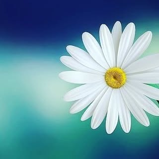 Profile Picture of Ruchi Upadhyay (@_ruchiupadhyay) on Instagram