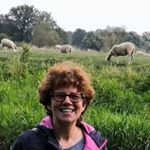 Profile Picture of Ewa Szulc (@ewa.szulc.334) on Instagram