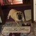 Profile Picture of Eugene Crawford (@eugene.crawford.3745) on Facebook