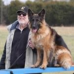 Marc Caplan - Instagram Profile Picture of Marc Caplan (@caplanmarc) on Instagram