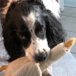 Profile Picture of Brendan Peasley (@brendan_peasley) on Instagram