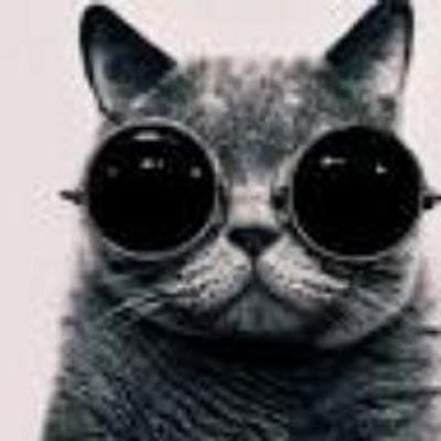 Profile Picture of Shane Conlan (@shaneluke90) on Twitter