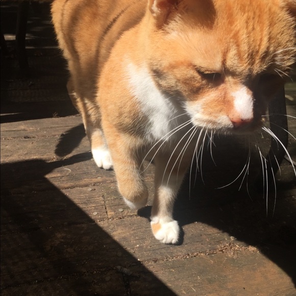 Profile Picture of Katie Sennett (@ksennett) on Poshmark