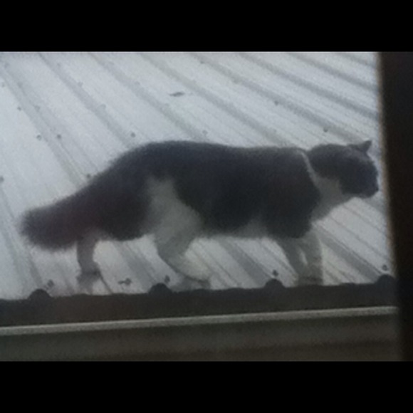 Profile Picture of Brian Brady (@bakebrady) on Poshmark