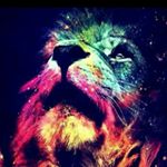 Profile Picture of Chris (@niloofar.rahimibabadi1380) on Instagram