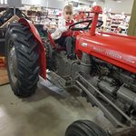 Profile Picture of Robert Misiewicz (@misiekanglia) on Instagram