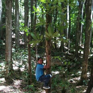 Profile Picture of Jerome Balicog Aleman (jerome aleman) (@bob.pana.73) on Facebook