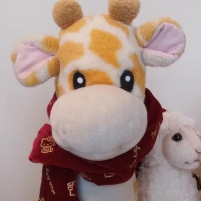 Sean Chang - Twitter Profile Picture of Sean Chang (@scc268) on Twitter