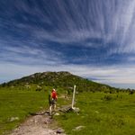 Profile Picture of Grayson Highlands State Park (@mount.rogers) on Instagram