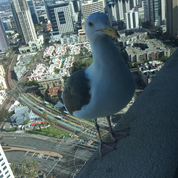 Profile Picture of Adam schick (@adam.schick4) on Tiktok