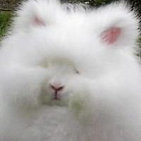 Angelia Sharp - Quora Profile Picture of Angelia Sharp (@angelia-sharp) on Quora