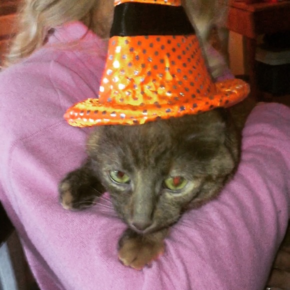 Profile Picture of Sunshine Gray (@sgray0421) on Poshmark