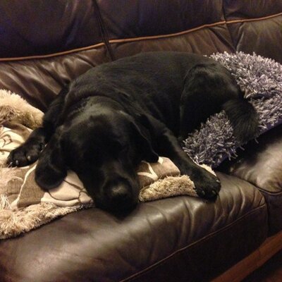 Jon Redman - Twitter Profile Picture of Jon Redman (@jonredman81) on Twitter