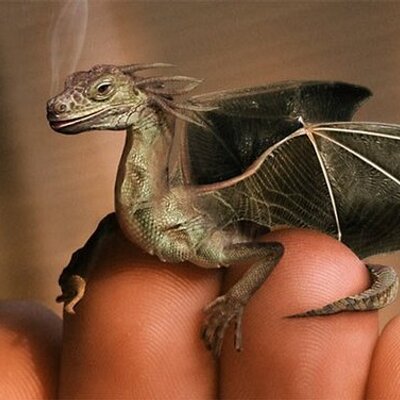 Profile Picture of Nick Penney (@NickPenney) on Twitter