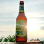Profile Picture of Mulling (@mulling_esp) on Instagram