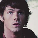 Profile Picture of noodle (@juicypeachjared) on Instagram