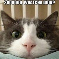 Profile Picture of Cory Boudreau (@cory-boudreau-1) on Quora