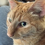 Profile Picture of Debbie Cissell (@debcissell) on Flickr