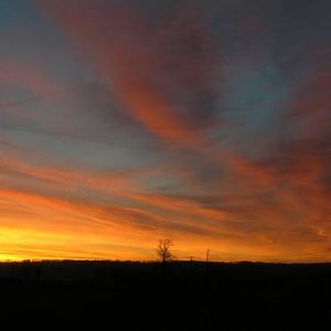 Profile Picture of Lucy Bonner (@lllllucyyyyyy) on Myspace