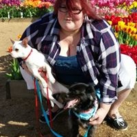 Profile Picture of Kelly Boyd (@kelly-boyd-12) on Quora
