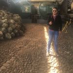 Profile Picture of David Verona (@veronadavid) on Instagram