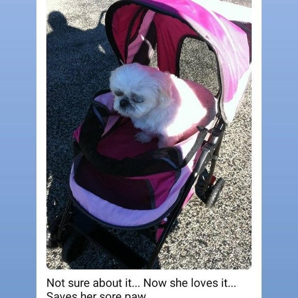 Profile Picture of Sue Steele (@gizzi) on Poshmark