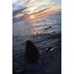 Profile Picture of Elizabeth Bramblett (@elizabeth.bramblett.5) on Facebook