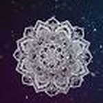 Cassandra Palmeri - Instagram Profile Picture of Cassandra Palmeri (@miss93palmeri) on Instagram