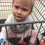 Profile Picture of Candice Larkins (@candice.larkins) on Instagram