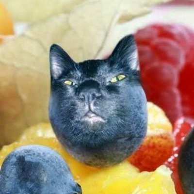 Profile Picture of Peyton (@peytonpartyhorn) on Twitter