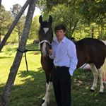 Profile Picture of Evan Sullivan (@_evan_sullivan_) on Instagram