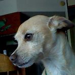 Profile Picture of Ray Overby (@ray.overby.18) on Facebook