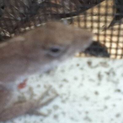 Profile Picture of Trevor Cannon Moulds (@trevcan1210) on Twitter