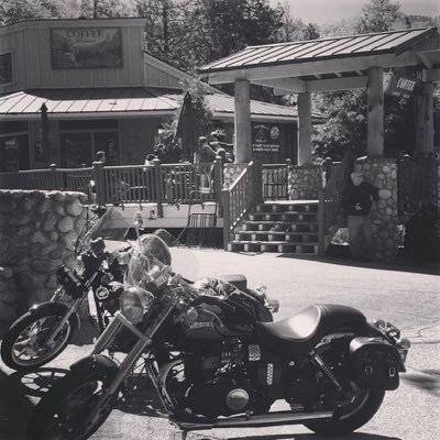 Profile Picture of #Wire Monkey (@KevinKennard2) on Twitter