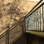 Profile Picture of Matt Samson (@olysamson) on Instagram