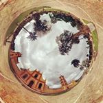 Profile Picture of Tumblr_San Jose Chiquitos_ofc (@tumblr_san_jose_chiquitos_ofc) on Instagram