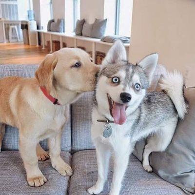 Profile Picture of Sam Liew (@samliew0219) on Twitter
