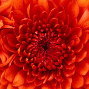 Profile Picture of David Clayden (@davidclayden5226) on Youtube