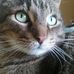 Profile Picture of Carroll Crouch (@carroll.crouch.92) on Facebook