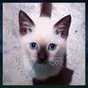 Profile Picture of keithgalupo123 (@keithgalupo123) on Tiktok