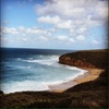 Profile Picture of Harry Patterson (@@harrypatterson) on Tiktok