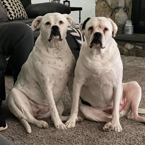 Profile Picture of Robin Roncka (@roncka20) on Poshmark