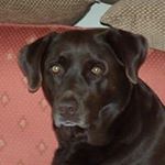 Profile Picture of Hazel Wright (@hazelwright28) on Instagram