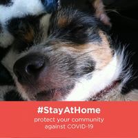 Profile Picture of Alison Wiles (@alison-wiles-1) on Quora