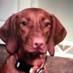 Profile Picture of alex cranford (@izzie_cranford) on Instagram