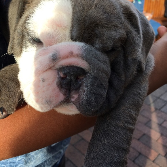 Profile Picture of J Tsuei (@jutsuei) on Poshmark