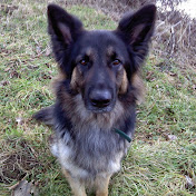 Profile Picture of Kyle Usher (@Kyleusher1986) on Youtube