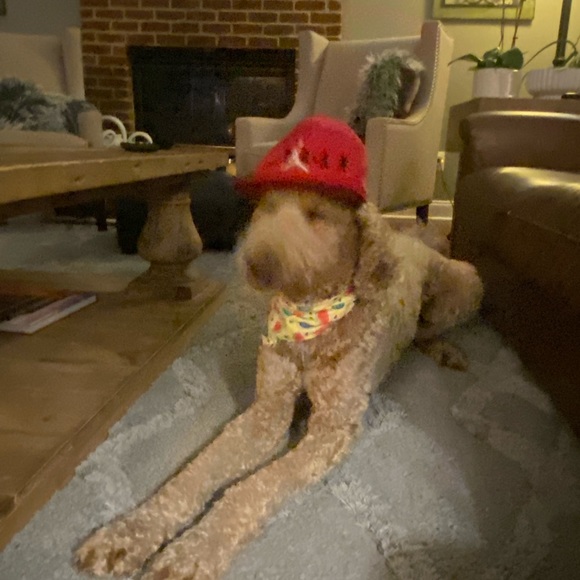 Profile Picture of Laith Ramahi (@laithramahi) on Poshmark