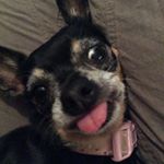 Profile Picture of Mezz Truskett (@mezzietruskett) on Instagram