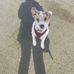 Profile Picture of Andrea Amacher (@Andrea-Amacher) on Facebook